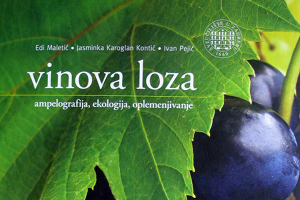 portal o vinu
