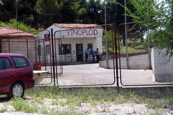 portal o vinu