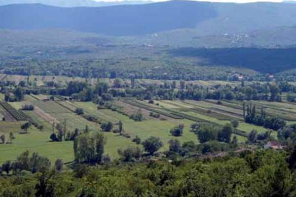 Kujundžuša - neotkrivena Dalmacija portal o vinu