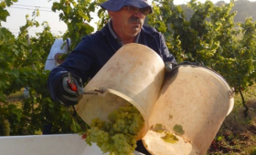 portal o vinu