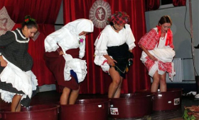 portal o vinu