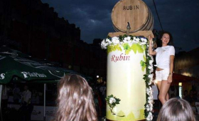 portal o vinu