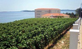 portal o vinu