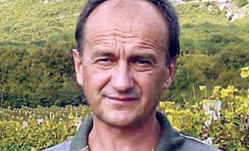 portal o vinu
