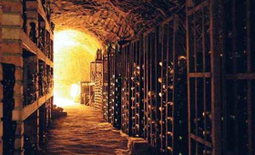 portal o vinu