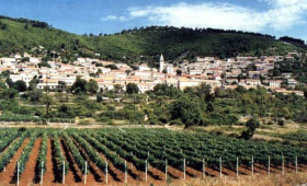 portal o vinu