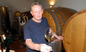 portal o vinu