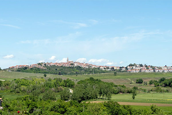 panorama
