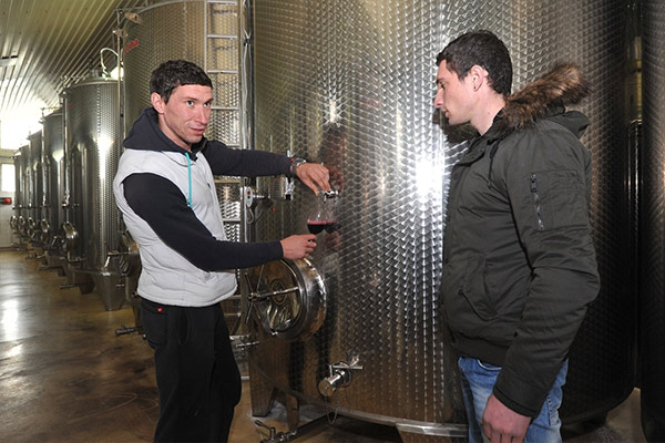 Vinarija Biograd
