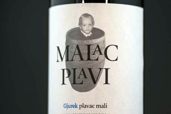 portal o vinu