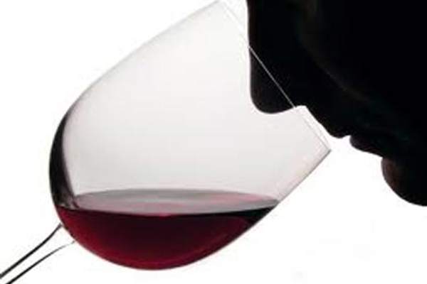 portal o vinu