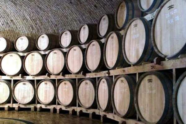 portal o vinu