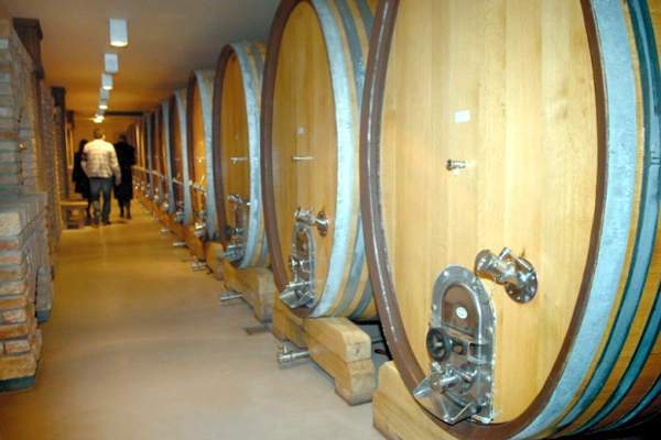 portal o vinu