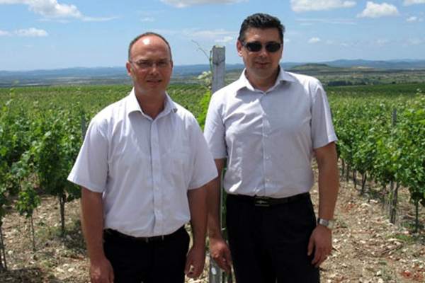 portal o vinu
