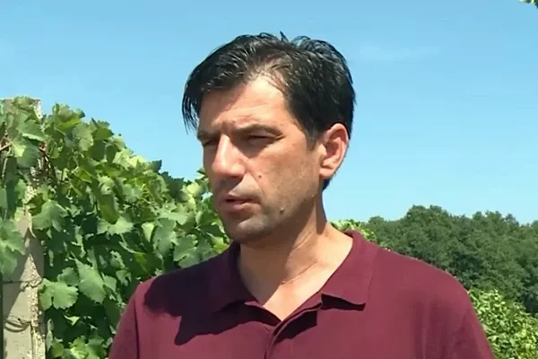 izjava u vinogradu