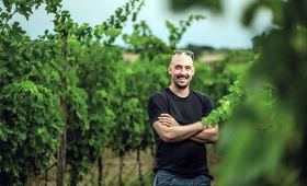u vinogradu