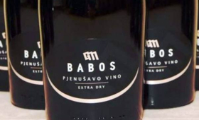 portal o vinu