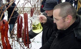 portal o vinu