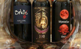 portal o vinu
