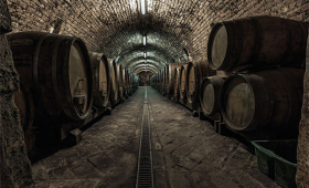 portal o vinu