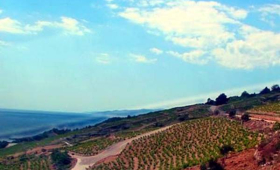 portal o vinu