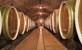 portal o vinu
