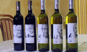 portal o vinu