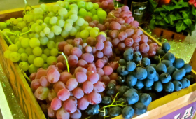 portal o vinu