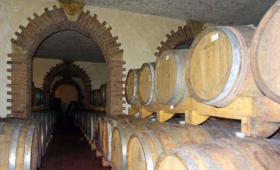 portal o vinu