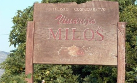 portal o vinu