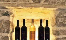 portal o vinu