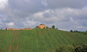 portal o vinu