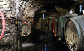 portal o vinu