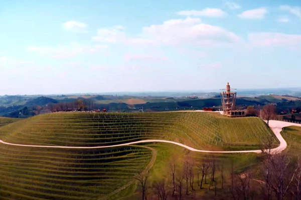 vinograd s vinarijom na brijegu 